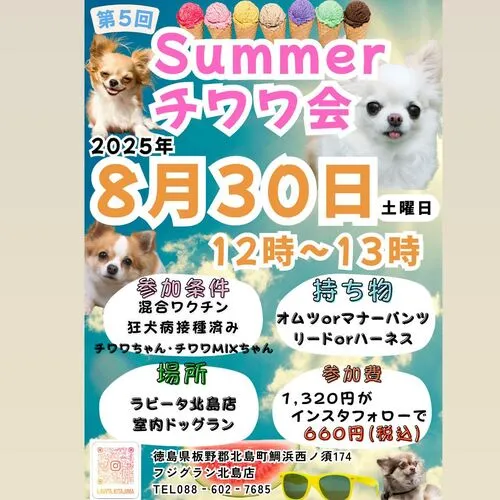 第5回 Summerチワワ会