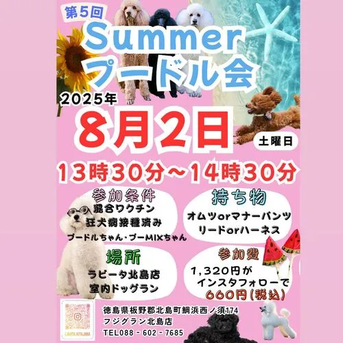 第5回 Summerプードル会