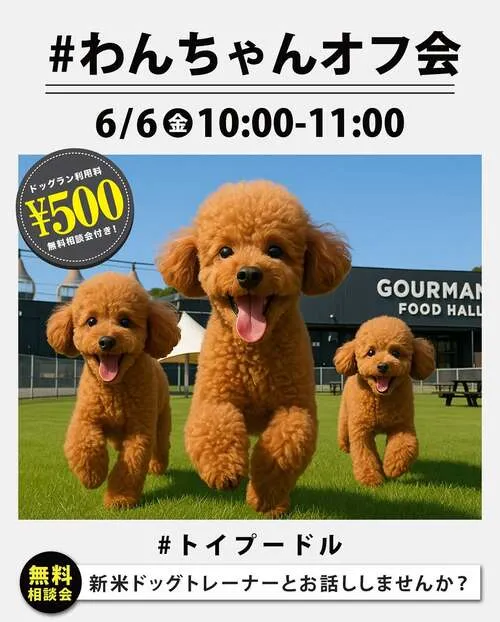 #わんちゃんオフ会 トイプードル