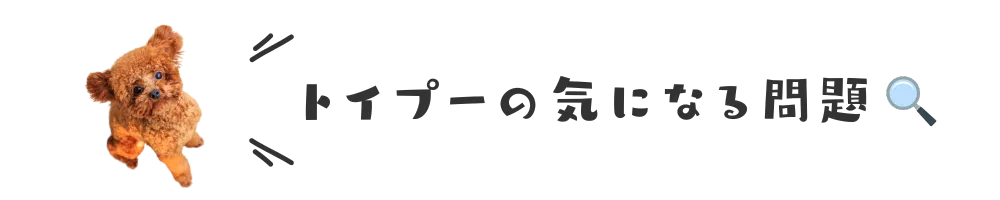 トイプーの気になる問題