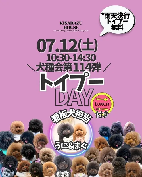 トイプーDAY