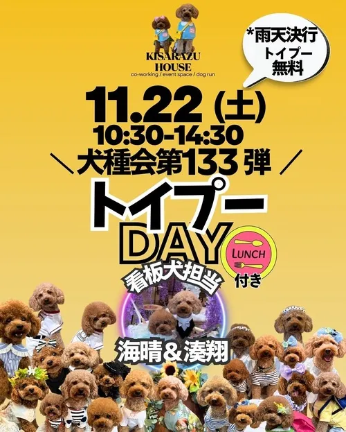 トイプーDAY