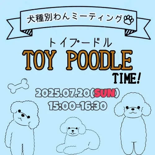 犬種別わんミーティング TOY POODLE TIME!