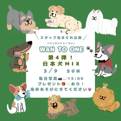 WAN TO ONE 第4弾 日本犬MIX