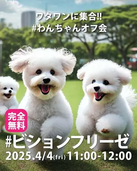 #ビションフリーゼオフ会
