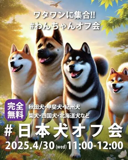 #日本犬オフ会