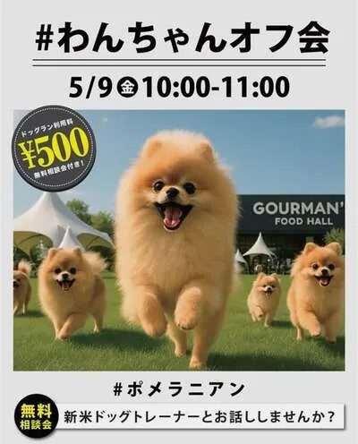 #ポメラニアンオフ会