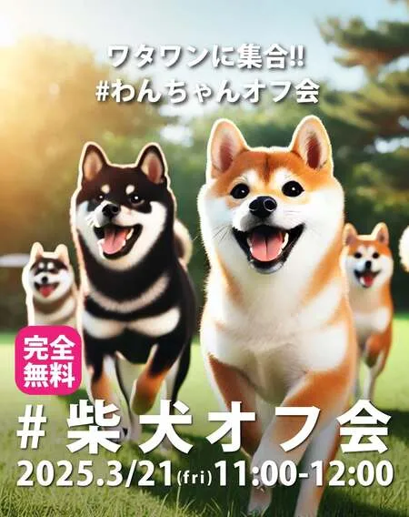 #柴犬オフ会