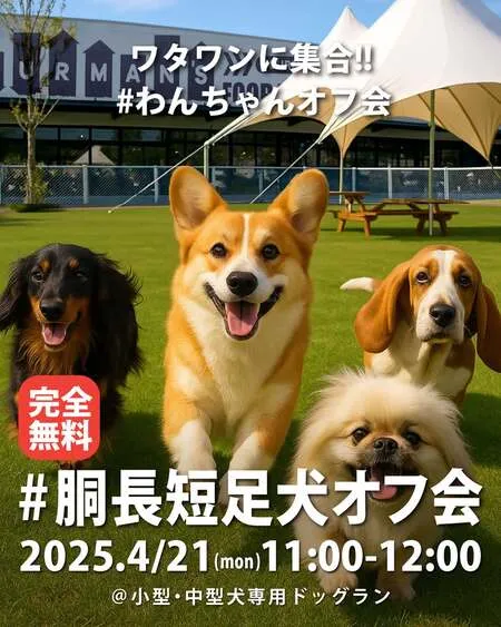 #胴長短足犬オフ会