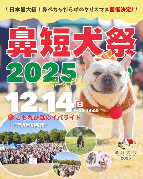 鼻短犬祭 2025 クリパ