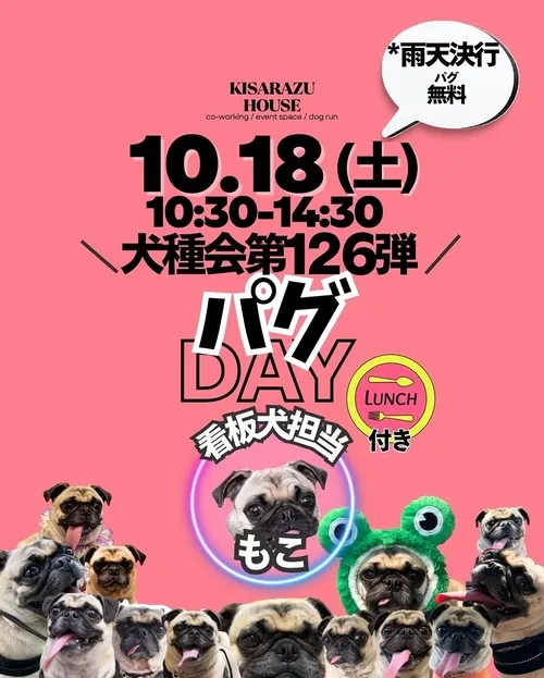 パグDAY