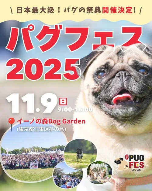 パグフェス 2025