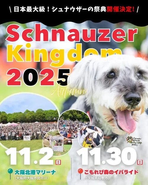 シュナウザーキングダム 2025 meets 大阪北港マリーナ