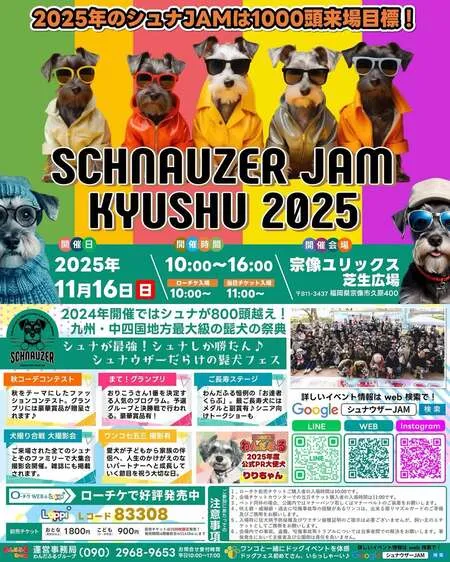 シュナウザーJAM九州2025