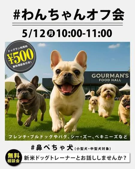 #鼻ぺちゃ犬オフ会