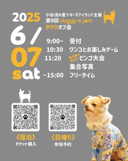 第9回ドギーズJAM チワワオフ会