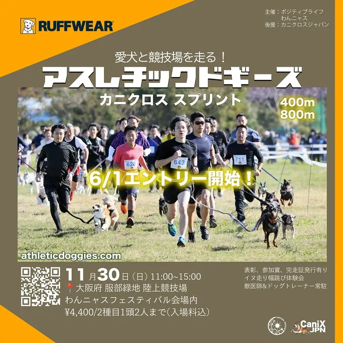アスレチックドギーズ大阪 カニクロススプリント