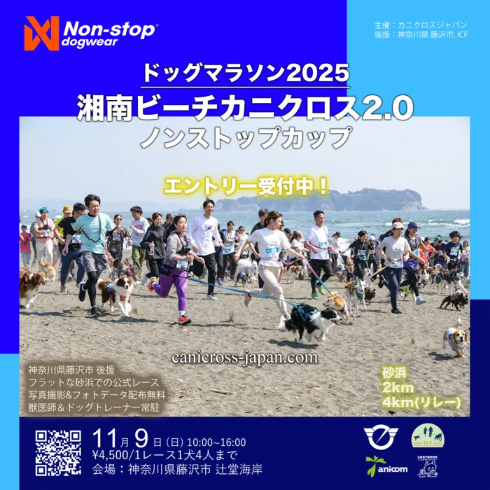 ドッグマラソン2025 湘南ビーチカニクロス2.0