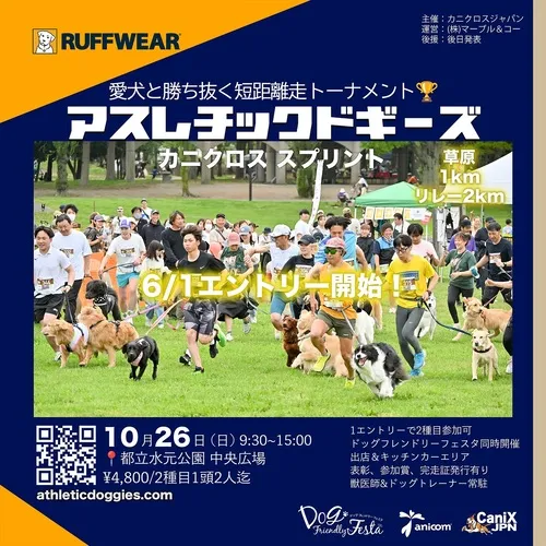 アスレチックドギーズ東京 カニクロススプリント