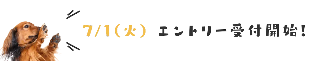 7/1(火)よりエントリー受付開始