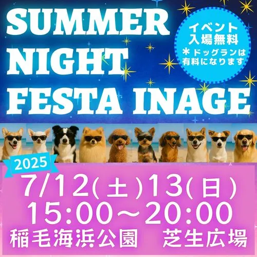 SUMMER NIGHT FESTA INAGE