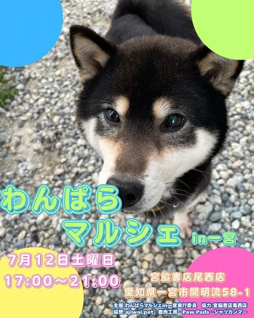 わんぱらマルシェ in 一宮
