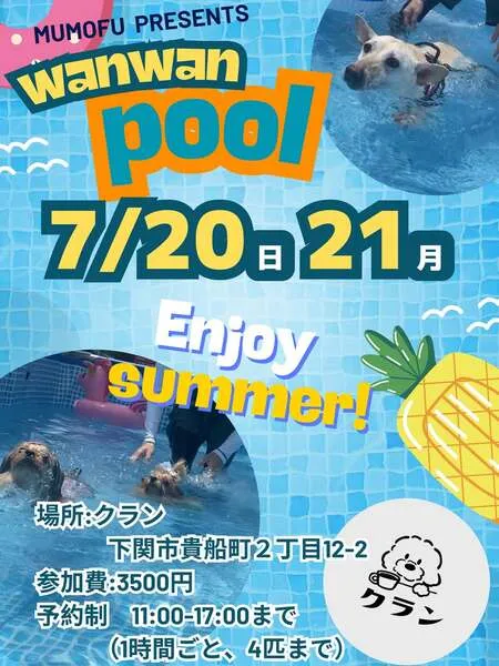 むもふわんわんプール
