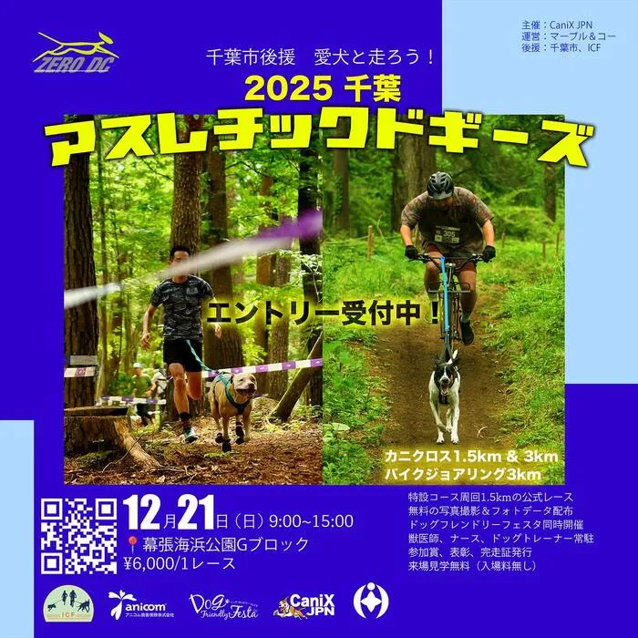 2025千葉 アスレチックドギーズ