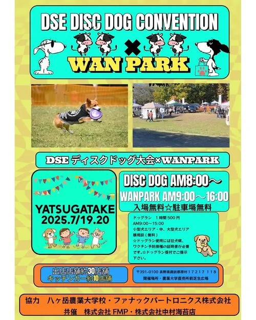 DSE八ヶ岳大会xWANパーク
