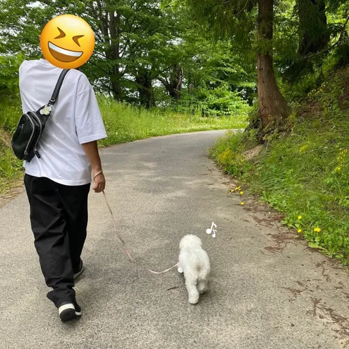 上杉神社 犬連れ