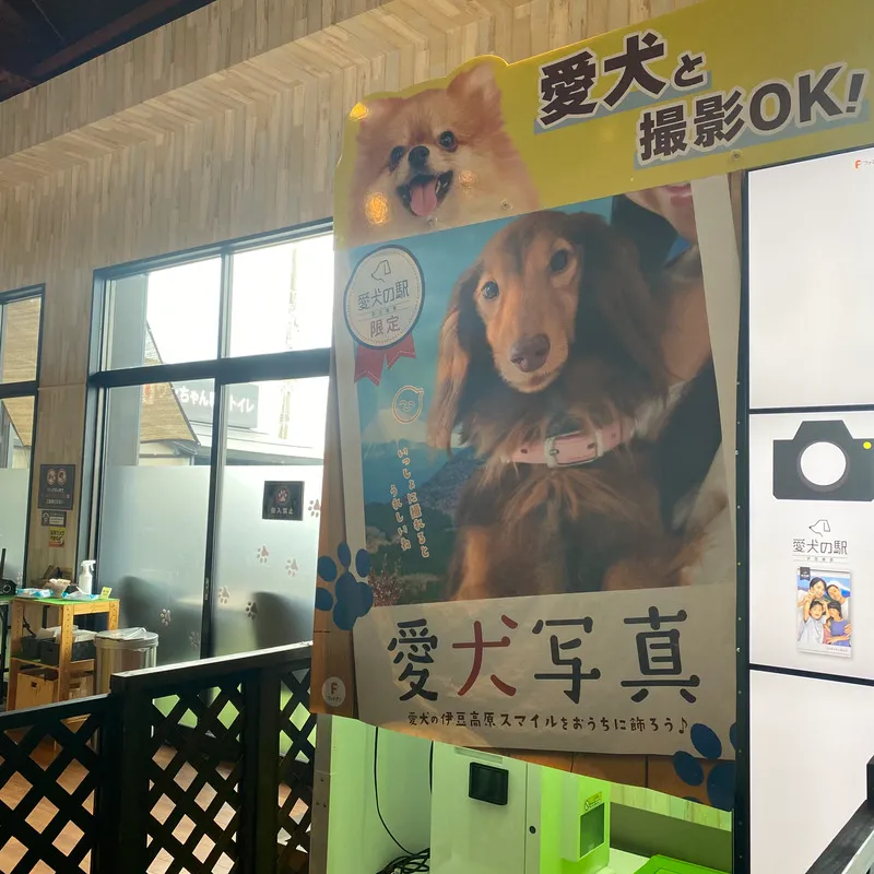 愛犬の駅 愛犬写真