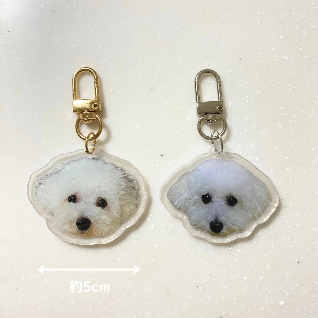 SHEIN　愛犬グッズ　アクリルキーホルダー