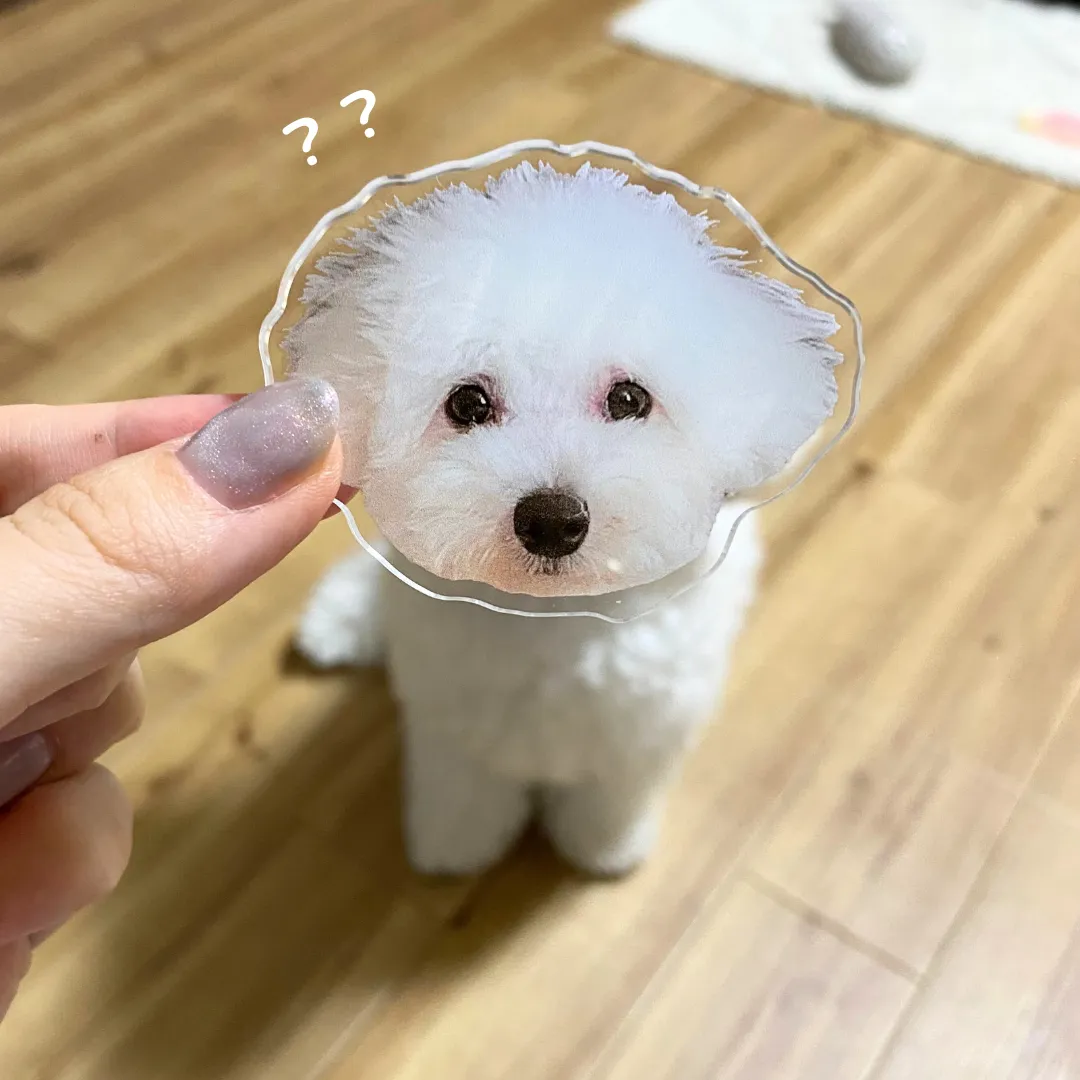 SHEIN　愛犬グッズ　スマホグリップ