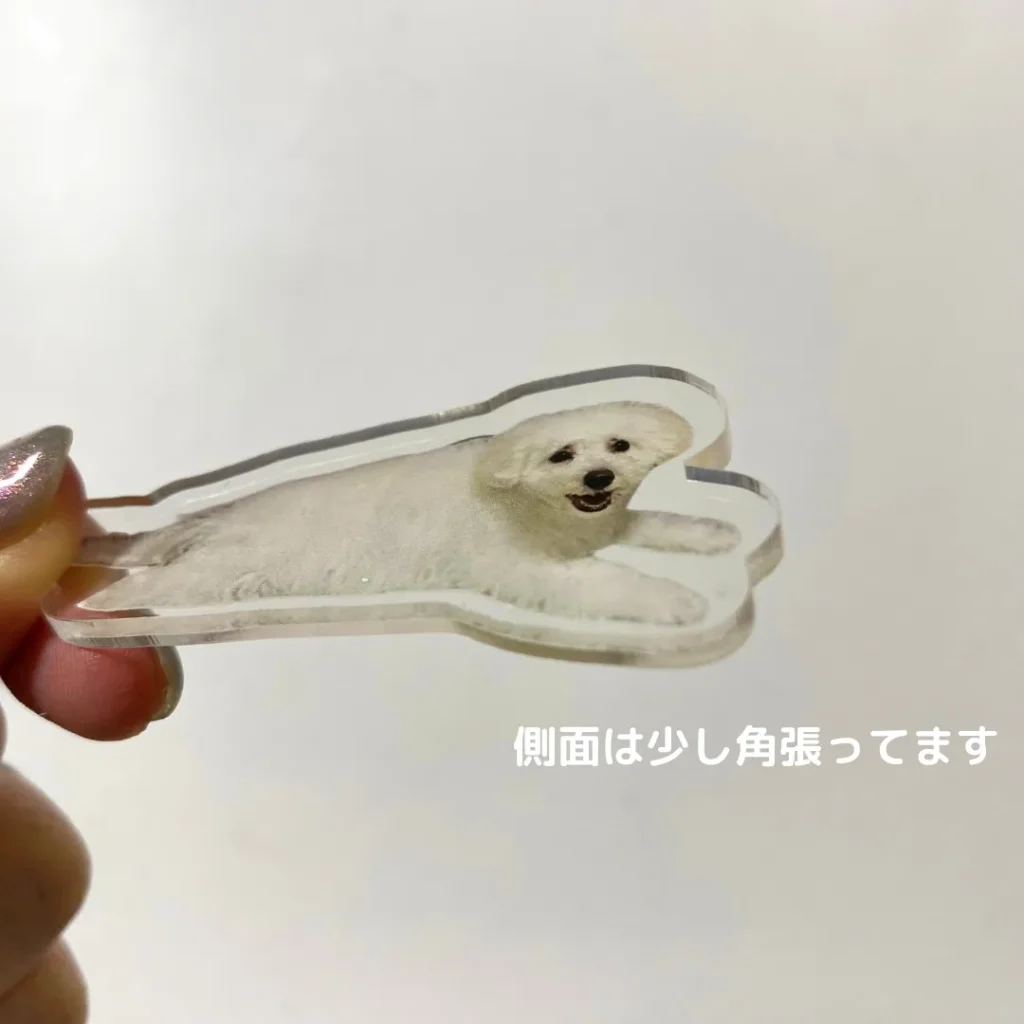SHEIN　愛犬グッズ　アクリル製マグネット