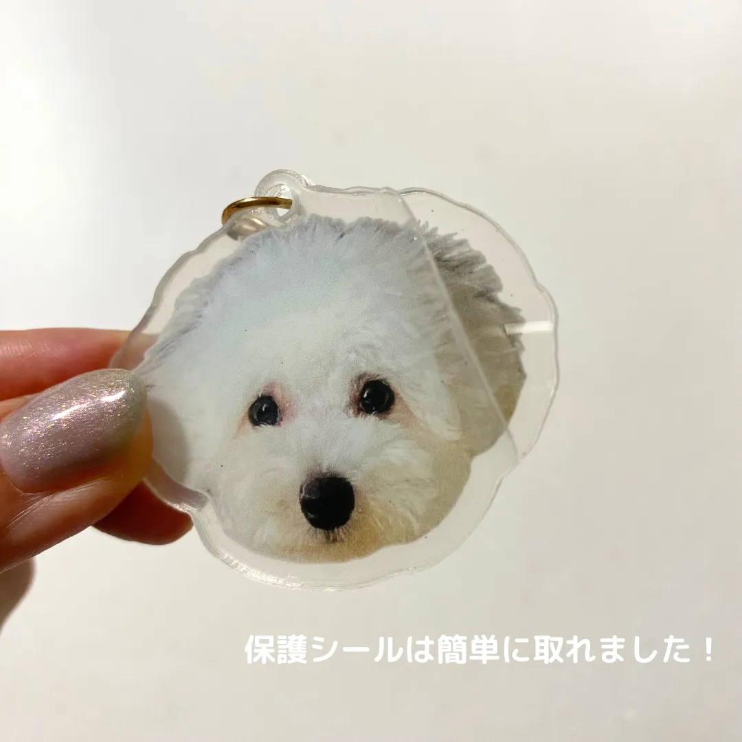 SHEIN　愛犬グッズ　アクリルキーホルダー