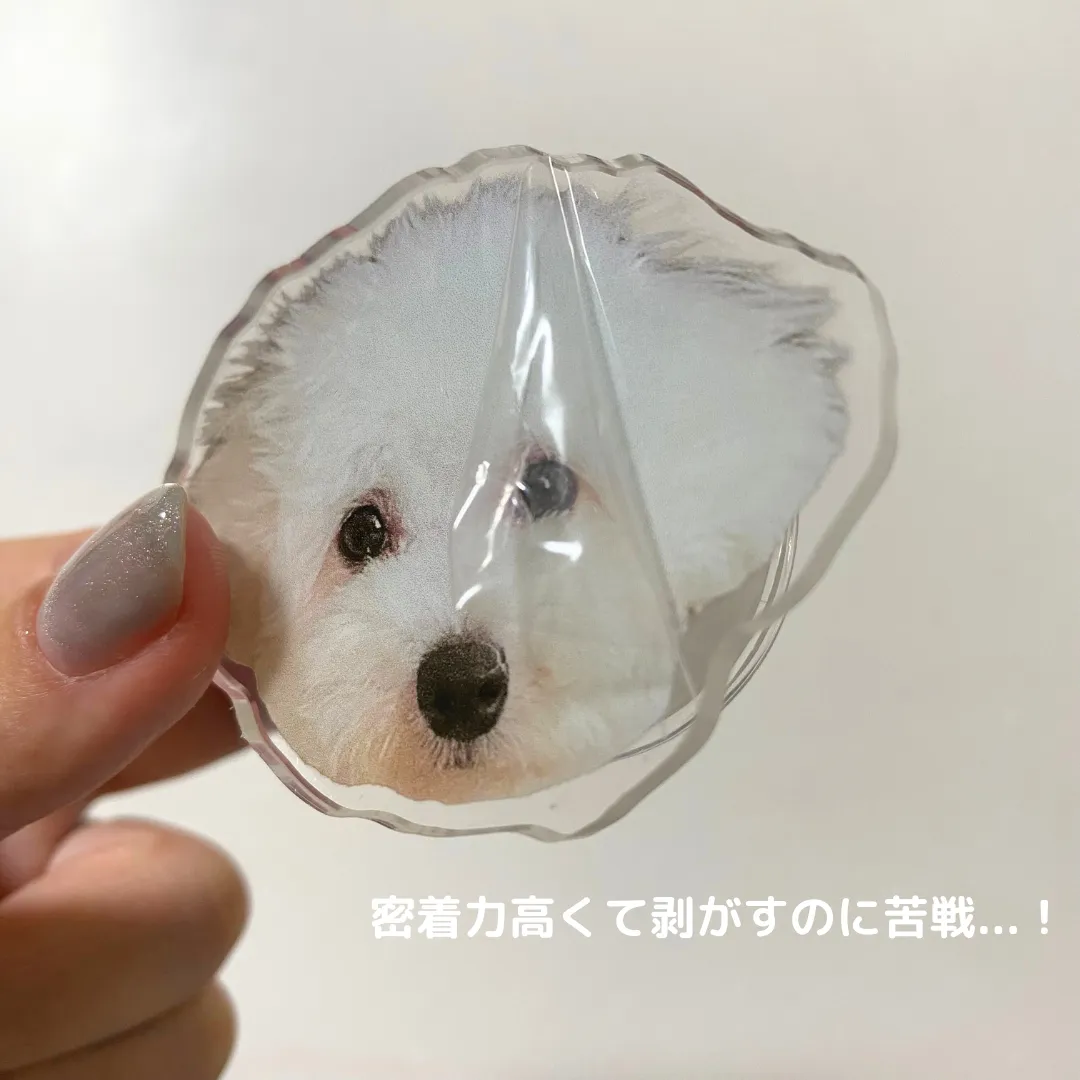 SHEIN　愛犬グッズ　スマホグリップ
