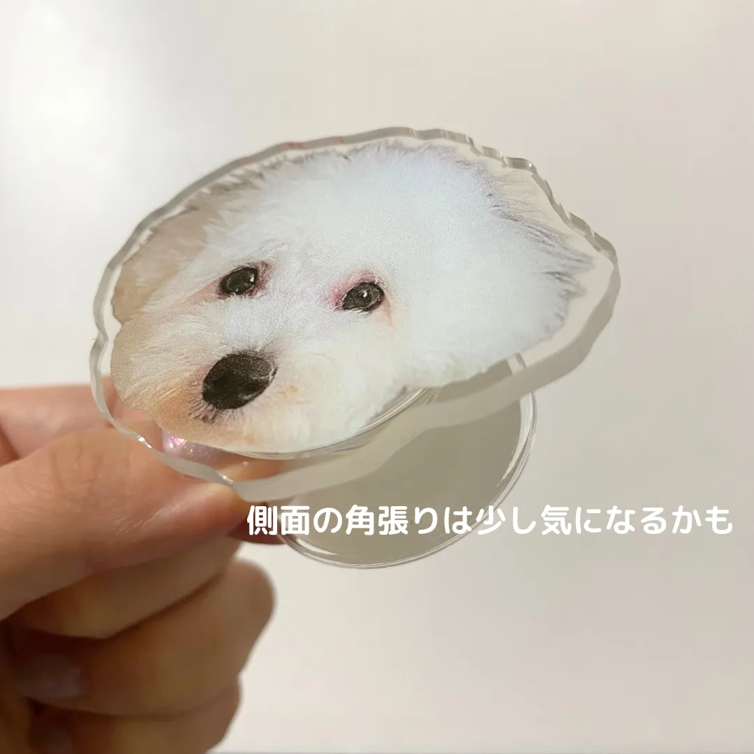 SHEIN　愛犬グッズ　スマホグリップ