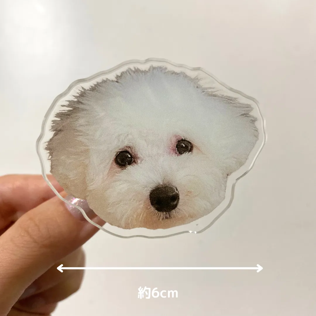 SHEIN　愛犬グッズ　スマホグリップ
