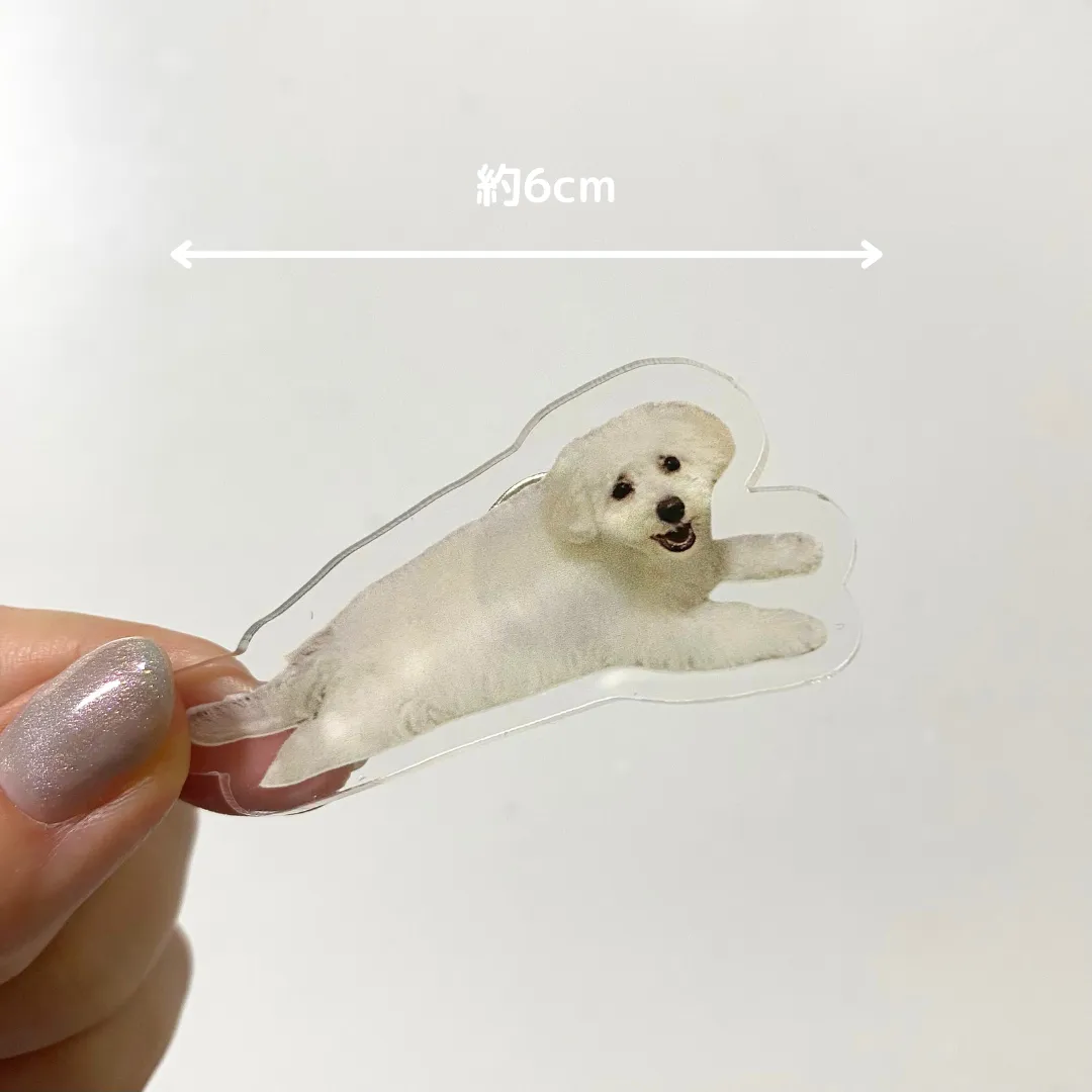 SHEIN　愛犬グッズ　アクリル製マグネット