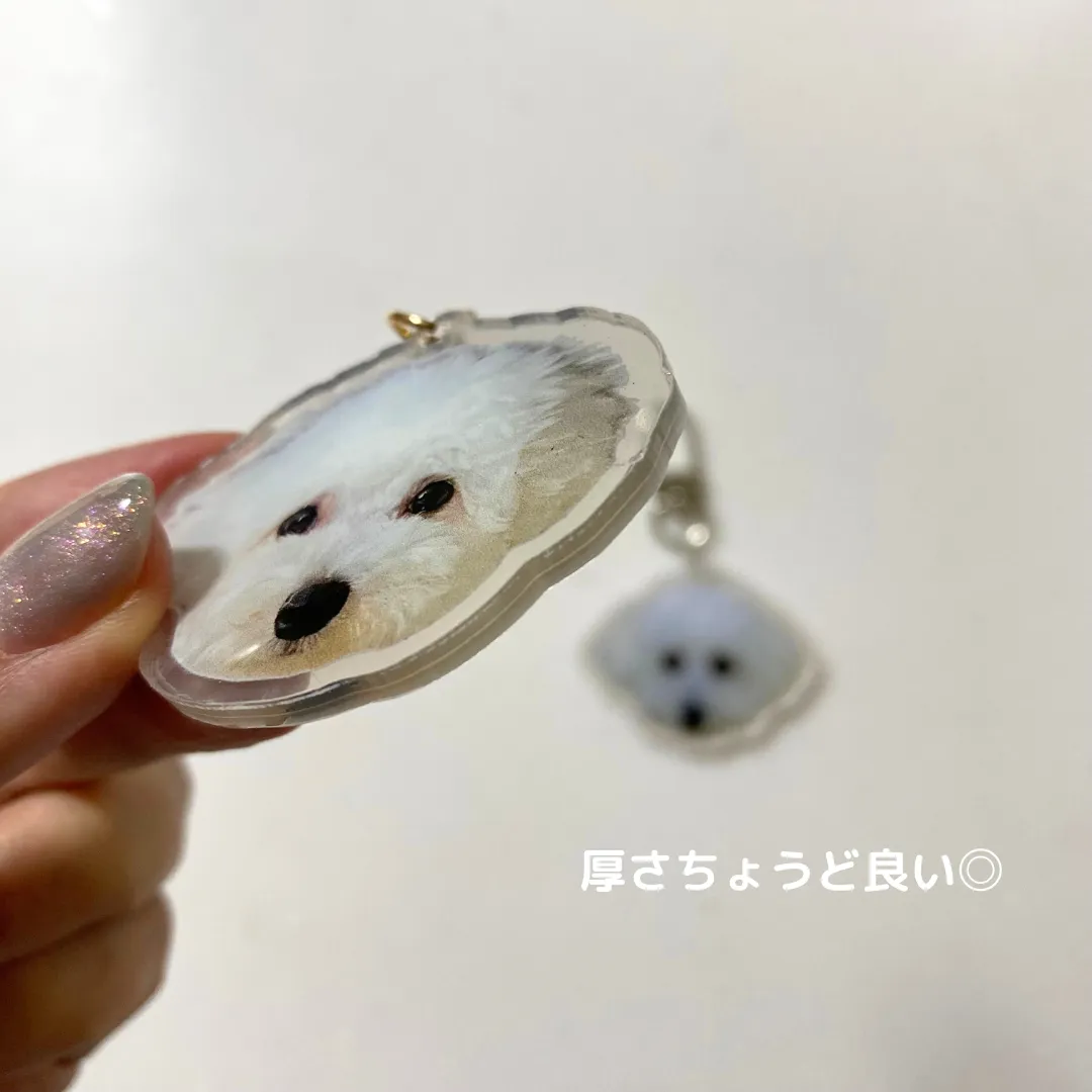 SHEIN　愛犬グッズ　アクリルキーホルダー