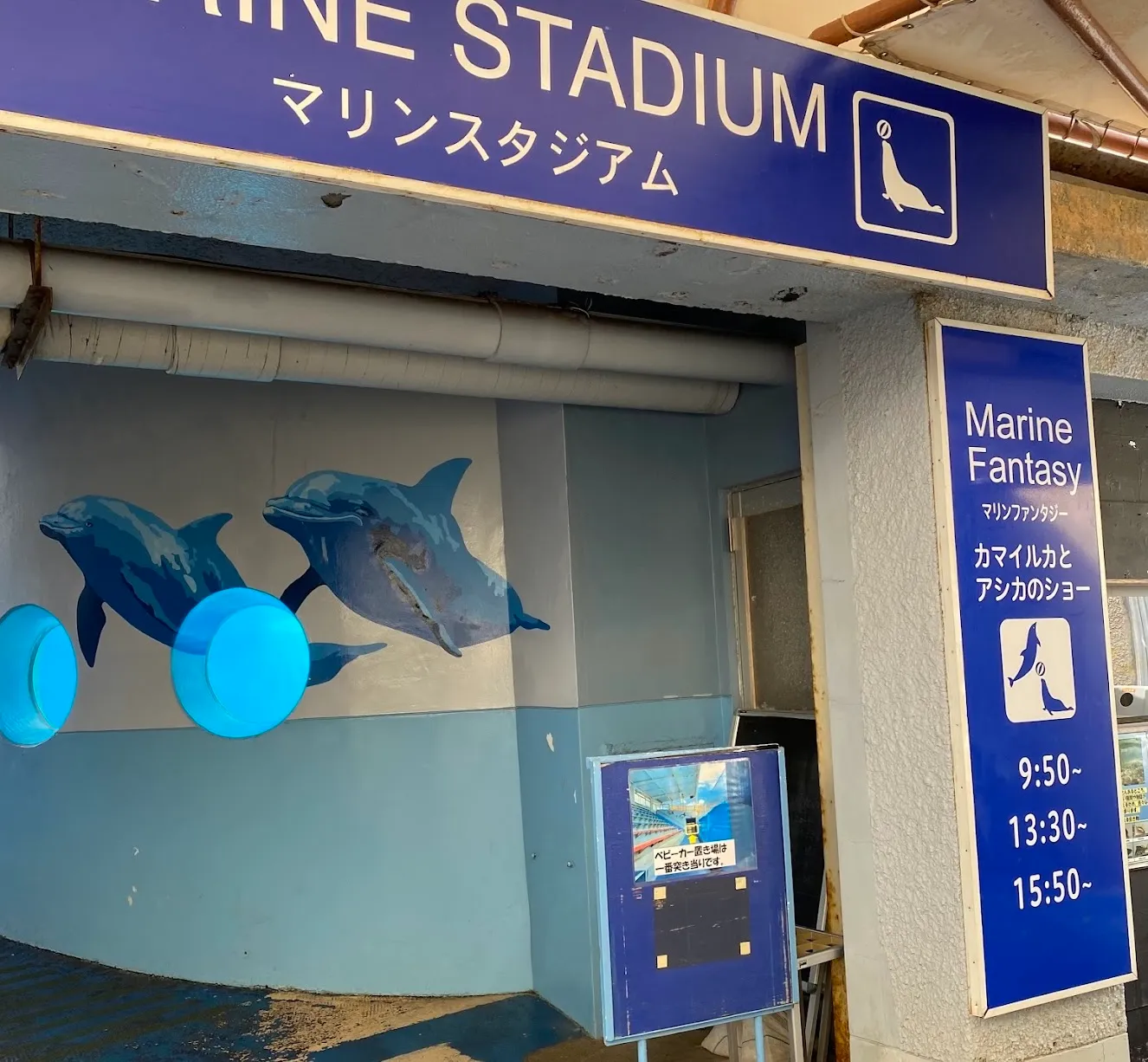 下田海中水族館 イルカショー