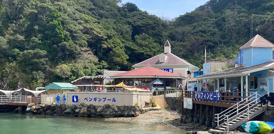 下田海中水族館 ペンギンプール・アザラシ館