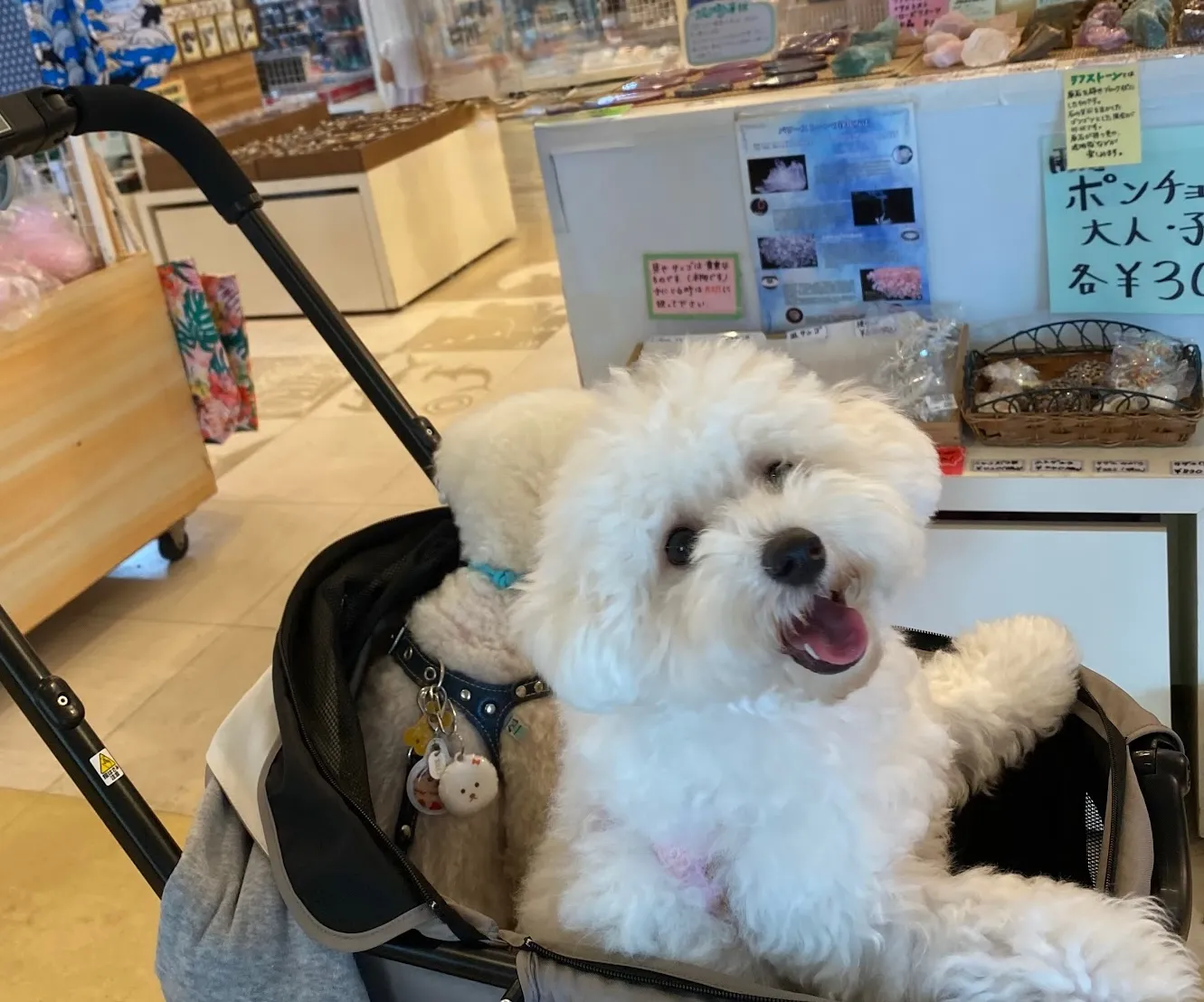 下田海中水族館 売店