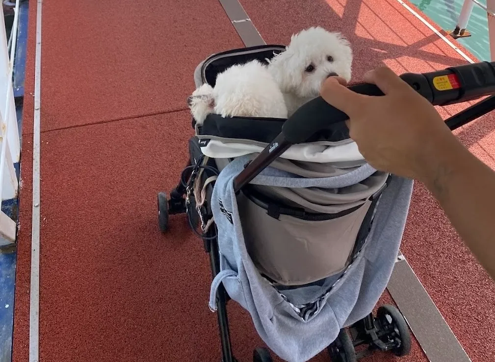 下田海中水族館 犬連れ