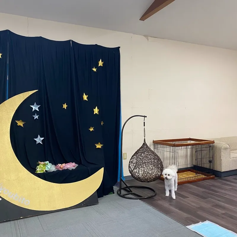 愛犬と癒しのアジアンリゾート 海宿 太陽人の遊技場