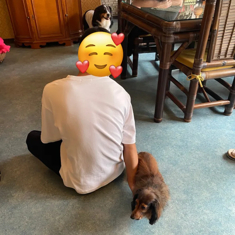 愛犬と癒しのアジアンリゾート 海宿 太陽人 看板犬とふれあい