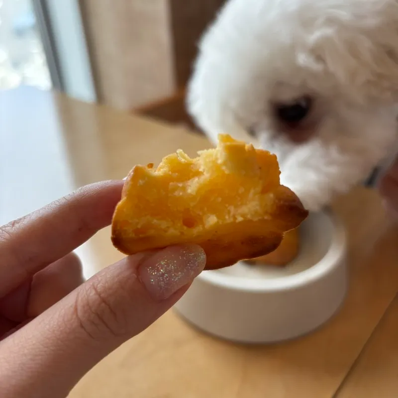 Windera Cafe 鵠沼海岸店「ビスコッティ」