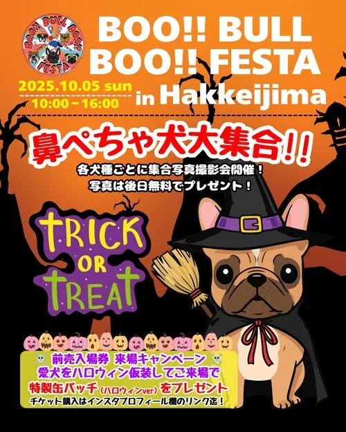 BOO!! BULL BOO!! FESTA 2025 AUTUMN