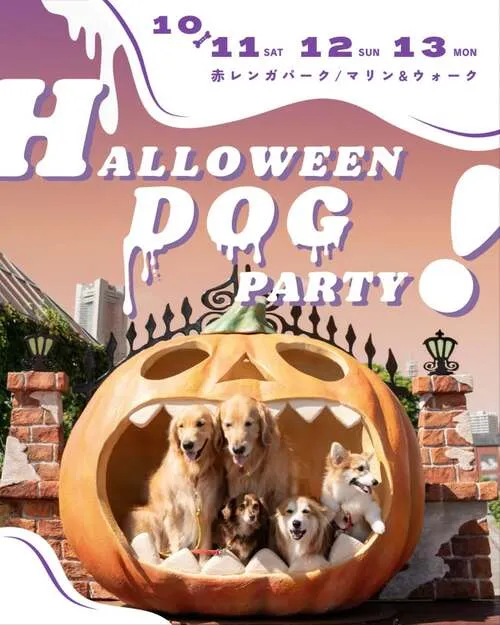HALLOWEEN DOG PARTY! 2025