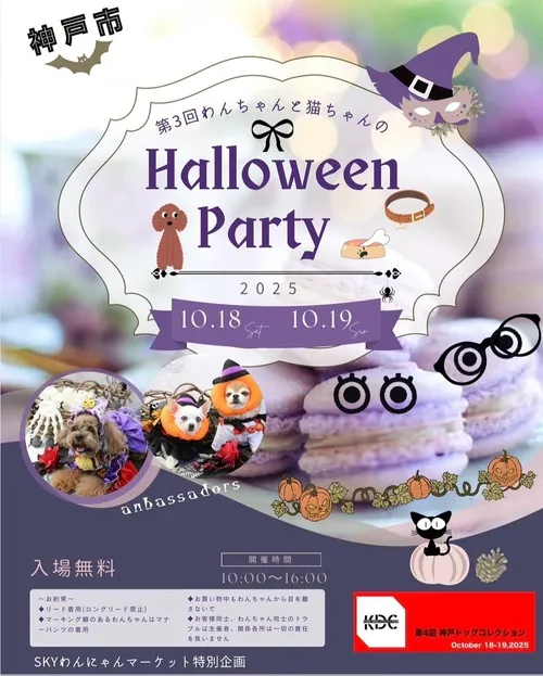 第3回 Dogs&Cats Special Party